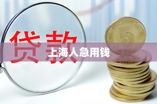 上海人急用钱