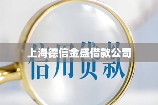 上海德信金盛借款公司