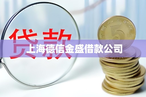  上海德信金盛借款公司