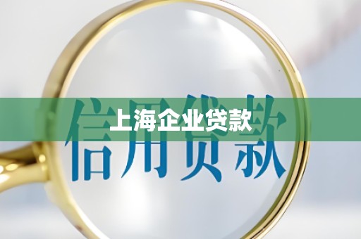 上海企业贷款