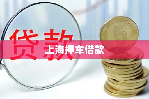 上海押车借款